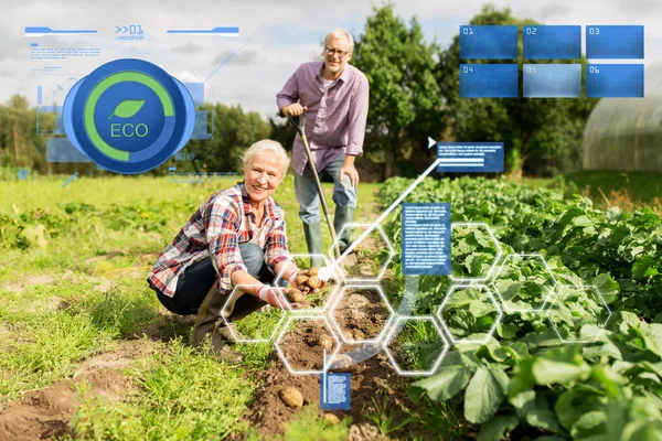 Pareja de ancianos plantando papas en el jardín o granja — Foto de Stock