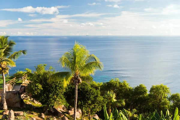 View to indian ocean from island with palm trees — Stock Photo, Image
