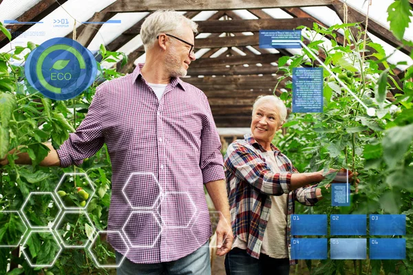 Glada äldre par på gården växthus — Stockfoto