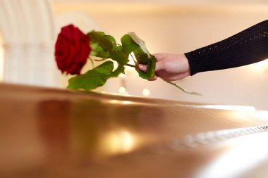 woman with red roses and coffin at funeral clipart
