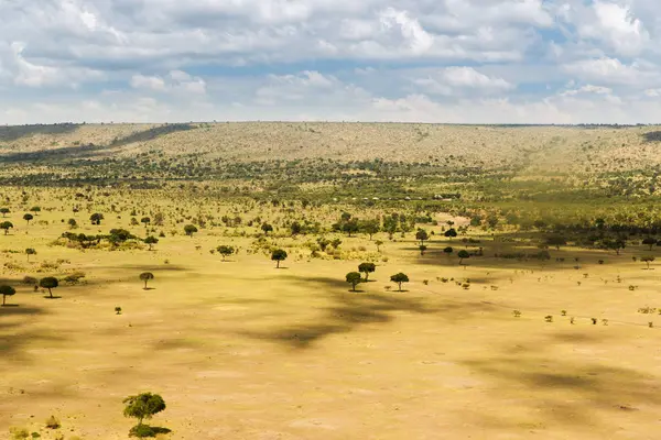 Masai mara národní rezervace savany v Africe — Stock fotografie