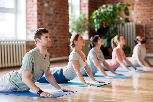 Groep mensen doen yoga cobra pose in de studio — Stockfoto