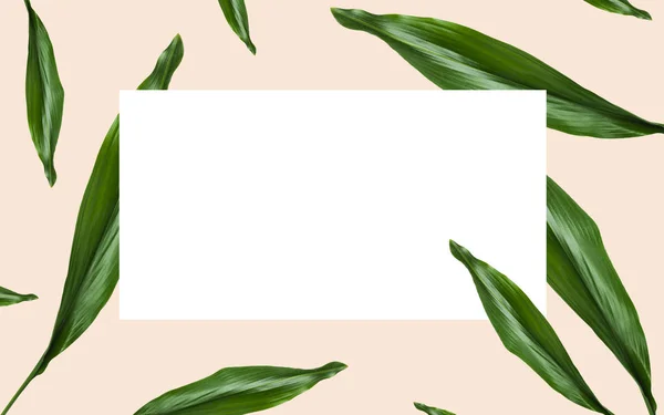Green leaves over white blank space on beige — Stock Photo, Image