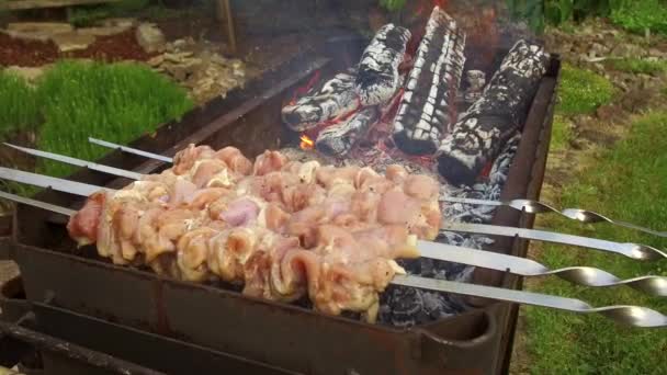 肉烤串和木柴在火盆在户外 — 图库视频影像