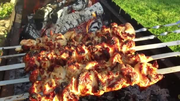 Mięso na szaszłyki i drewno opałowe w Kociołek na zewnątrz — Wideo stockowe