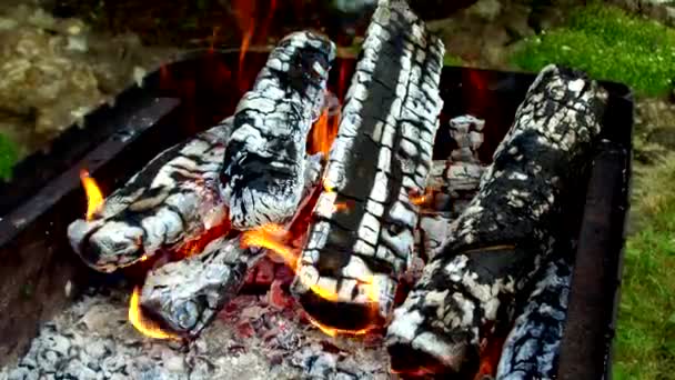 Leña ardiendo en brasero al aire libre — Vídeo de stock