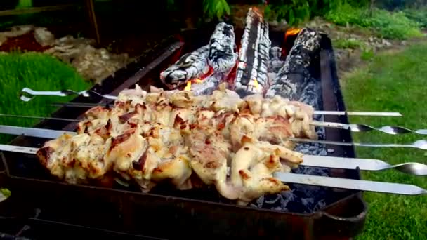 Мясо на шампуре и дрова в жаровне на открытом воздухе — стоковое видео