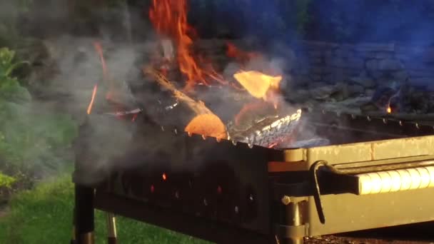 Дрова горят на улице в жаровне — стоковое видео