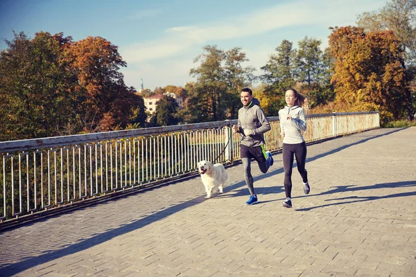 Feliz pareja con perro corriendo al aire libre —  Fotos de Stock