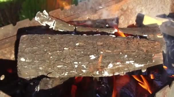 Bois de chauffage dans brasero à l'extérieur — Video