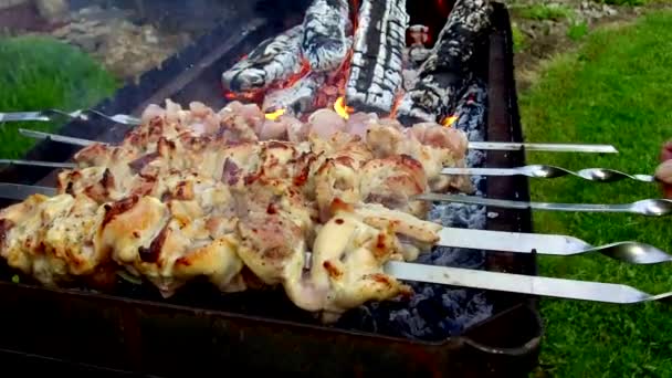 Viande sur brochettes et bois de chauffage en plein air brasero — Video