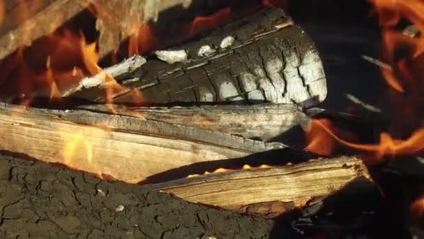 Queima de lenha no braseiro ao ar livre — Vídeo de Stock