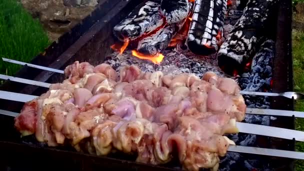 Carne en brochetas y leña en brasero al aire libre — Vídeos de Stock