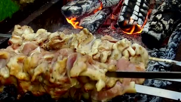 Viande sur brochettes et bois de chauffage en plein air brasero — Video