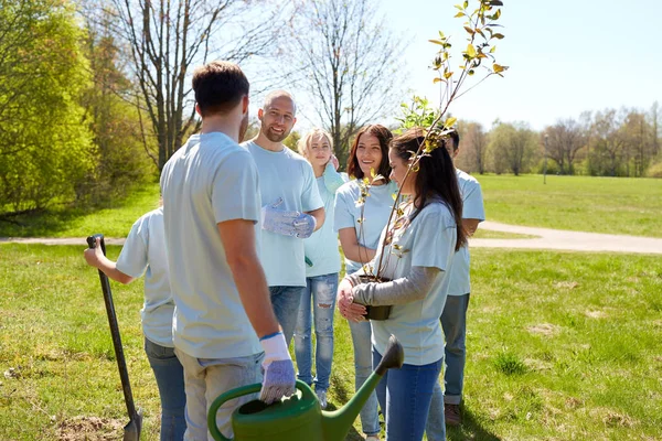 Kelompok relawan dengan bibit pohon di taman — Stok Foto
