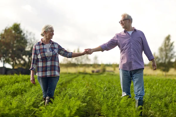 Счастливая пожилая пара, держась за руки на летней ферме — стоковое фото