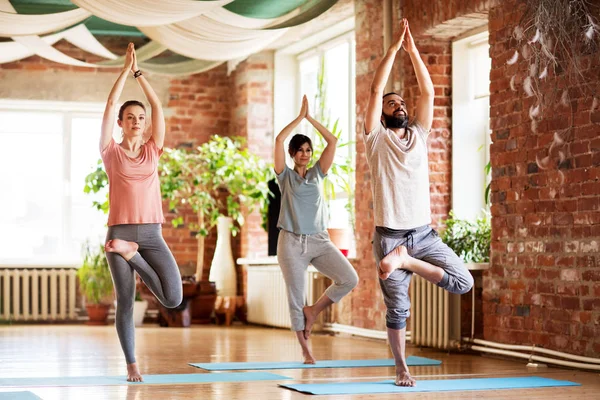 Grupo de personas haciendo yoga árbol pose en estudio —  Fotos de Stock