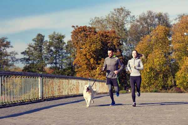 Feliz pareja con perro corriendo al aire libre Fotos De Stock