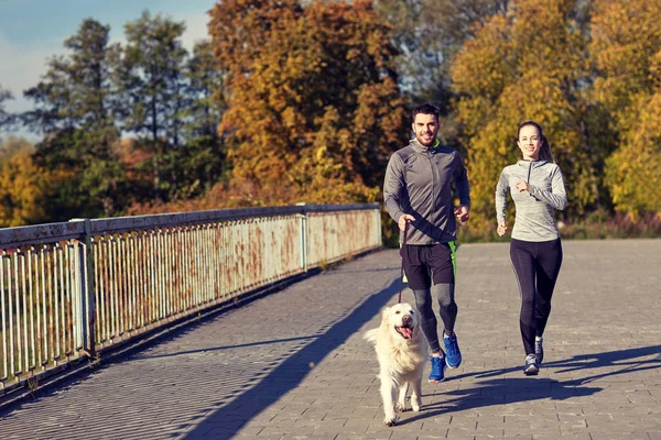 Happy couple with dog running outdoors — Stock Photo, Image