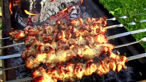 火鉢を屋外に串で焼ける肉 — ストック動画
