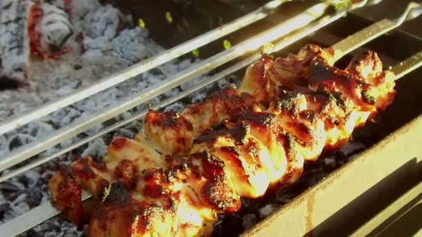 야외에서 화로에 꼬치 구이 고기 — 비디오