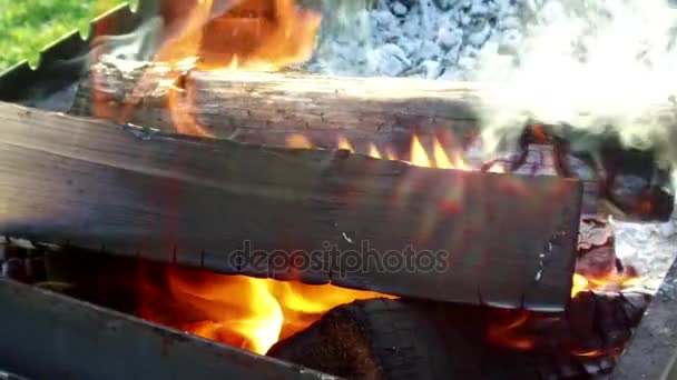 Brennholz im Kohlenbecken im Freien verbrennen — Stockvideo