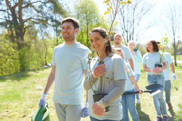 Grupo de voluntários com árvores e ancinho no parque — Fotografia de Stock