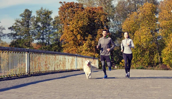 Feliz pareja con perro corriendo al aire libre — Foto de Stock