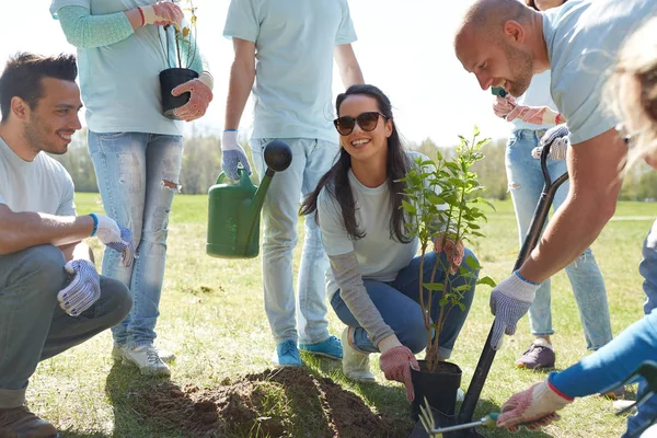 Grupo de voluntários plantando árvore no parque — Fotografia de Stock