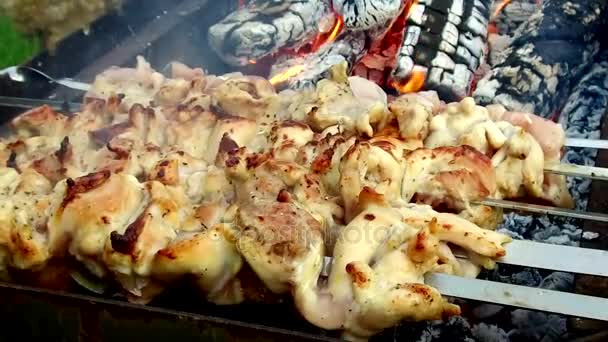 Rôtissage de viande sur brochettes en plein air brasero — Video