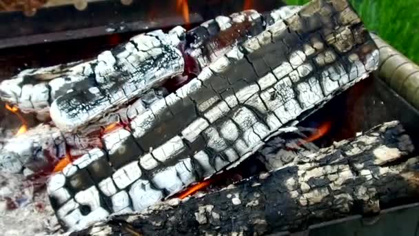 Tűzifa égő parázs szabadban — Stock videók