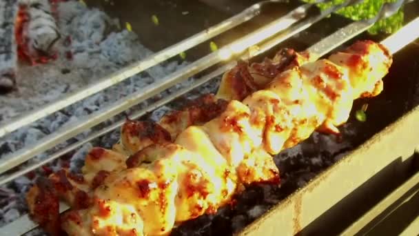 Meat roasting on skewers in brazier outdoors — Stock Video