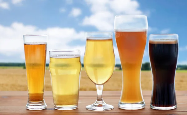 Diferentes tipos de copos de cerveja sobre campo de cereais — Fotografia de Stock