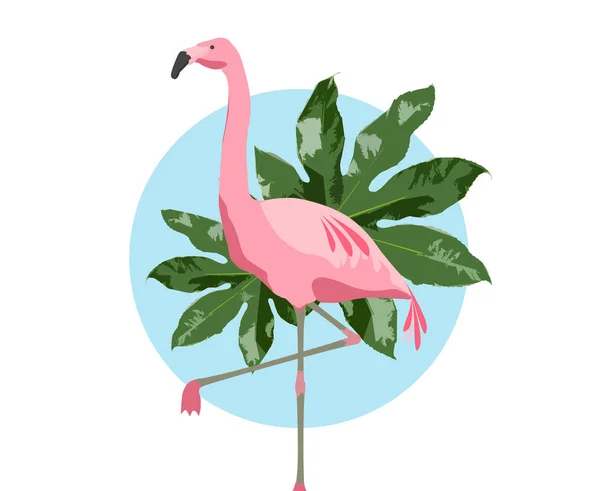 Rosa pássaro flamingo sobre fundo azul — Fotografia de Stock