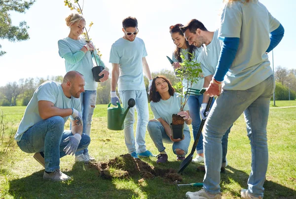 Groep vrijwilligers die bomen planten in het park — Stockfoto