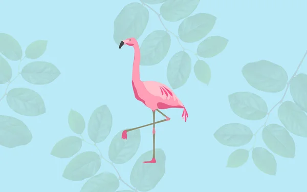 Ροζ φλαμίνγκο πουλιών σε μπλε φόντο — Φωτογραφία Αρχείου