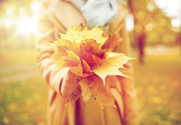 枫叶在秋天公园的女人的特写 — 图库照片