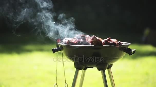 Carne de churrasco na grelha ou braseiro ao ar livre — Vídeo de Stock