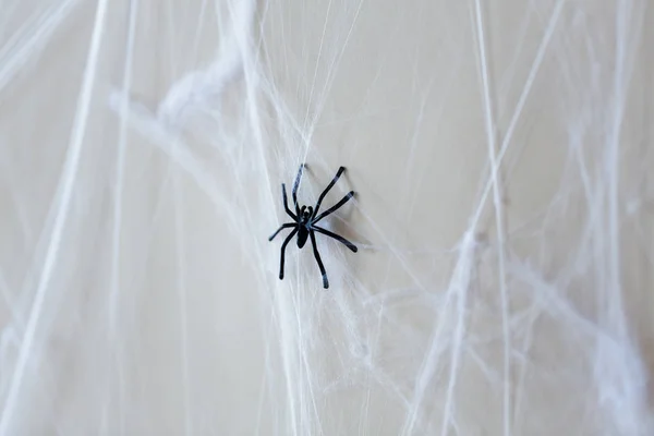 Halloween dekorace černé hračka pavouk na pavučina — Stock fotografie