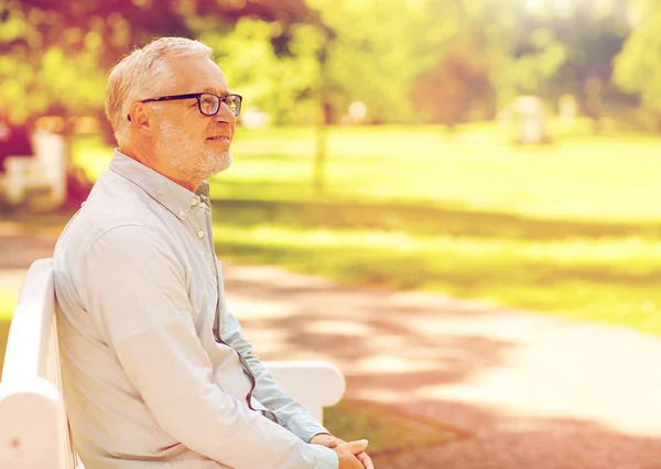 Feliz hombre mayor en gafas sentado en el parque de verano —  Fotos de Stock