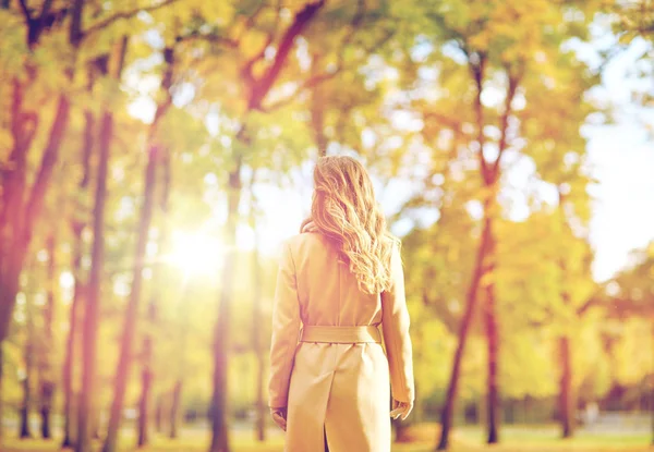 Schöne junge Frau zu Fuß in Herbst Park lizenzfreie Stockfotos