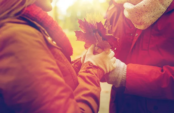 Close up de casal feliz com folhas de bordo de outono — Fotografia de Stock