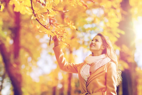 Schöne glückliche junge Frau, die im herbstlichen Park spaziert — Stockfoto