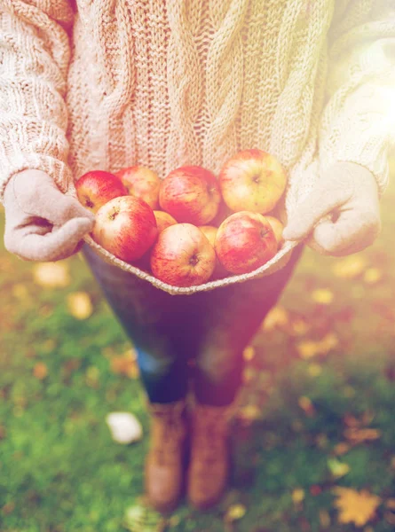 Женщина с яблоками в осеннем саду — стоковое фото