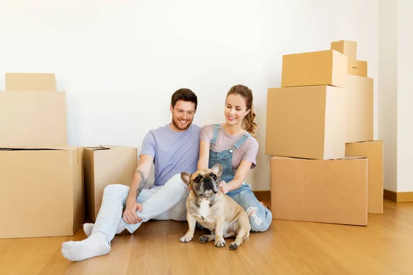 Gelukkige paar met vakken en hond verhuizen naar nieuw huis — Stockfoto
