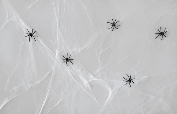 Dekoracje Halloween pająki zabawka czarny na www — Zdjęcie stockowe