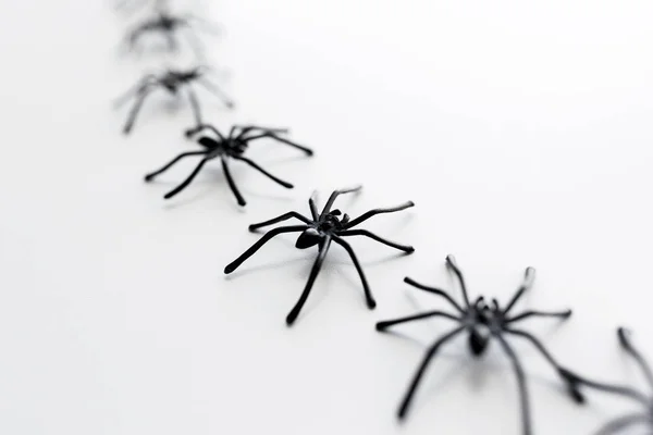 Black toy spiders chain over white background — Stock Photo, Image