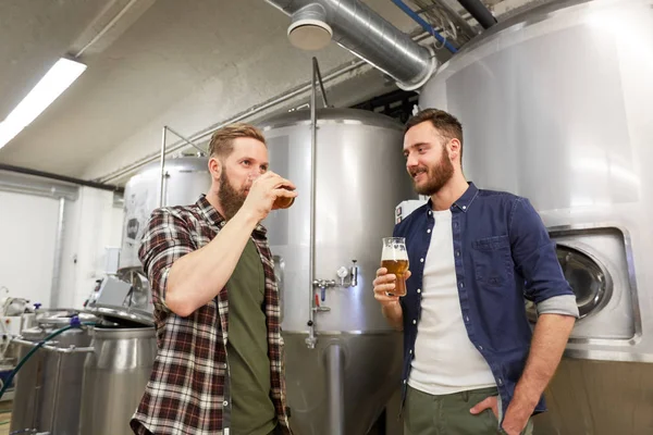 Чоловіки тестують безалкогольне ремісниче пиво на броварні — стокове фото