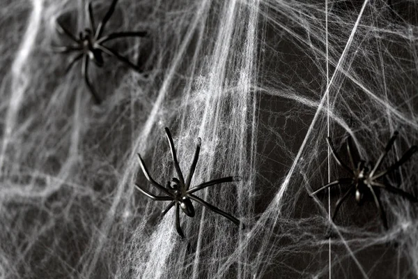 Halloween dekorace černé hračka pavouků na webu — Stock fotografie