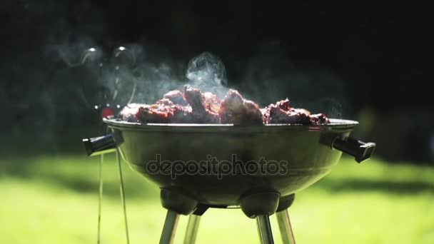 Barbecue vlees op de grill of brazier buitenshuis — Stockvideo